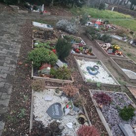 Grab - Tierfriedhof Katke aus Bornheim
